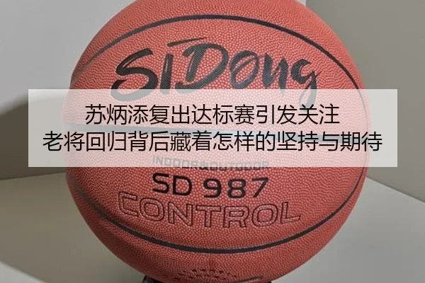 苏炳添复出达标赛引发关注 老将回归背后藏着怎样的坚持与期待